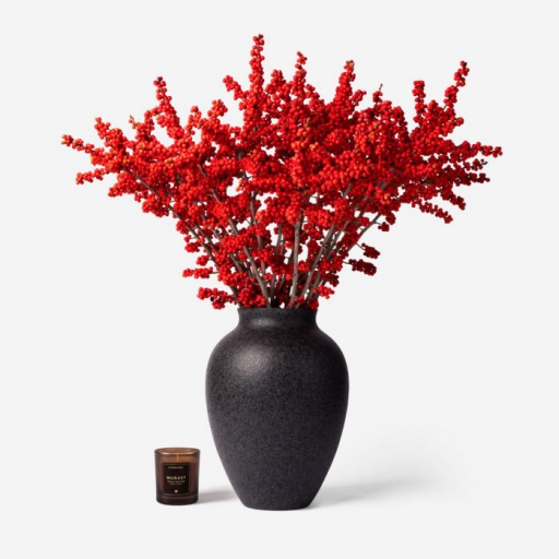 Ilex - Piros